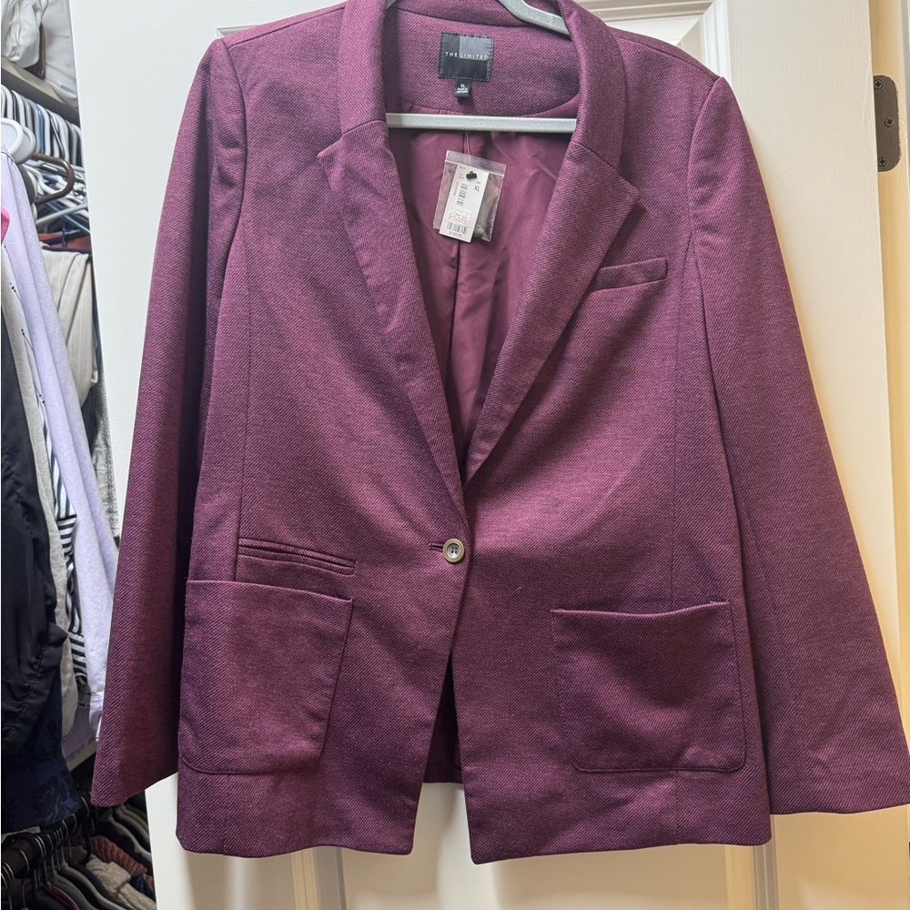The Limited Plum Blazer